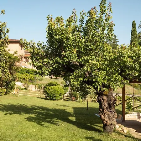 Toscana Da Sogno A Allegria Apartamento